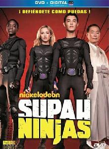 少年忍者第一季 少年忍者第一季