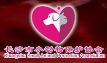 長沙市小動物保護協會 長沙市小動物保護協會