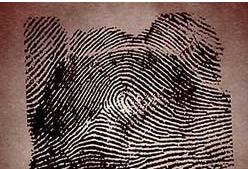 （圖）群體遺傳學