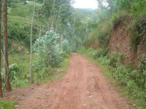 子馬歸村 子馬歸村