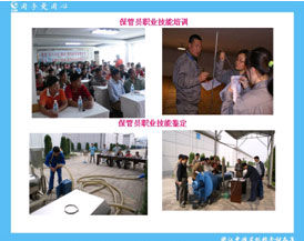 浙江中穗省級糧食儲備庫