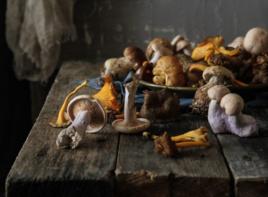 日本蘑菇素 日本蘑菇素