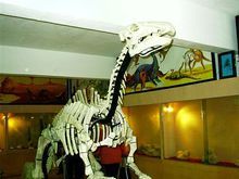 青龍山恐龍蛋化石群國家級自然保護區