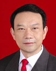 潘平[重慶九龍坡區人大常委會原主任]