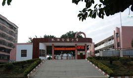 金禧國小 金禧國小