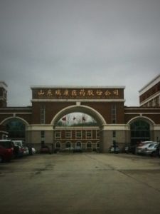 山東瑞康醫藥股份有限公司 山東瑞康醫藥股份有限公司
