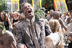 1978年8月14日 1978年8月14日