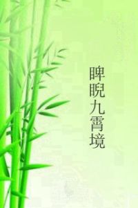 睥睨九霄境 睥睨九霄境