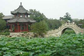 蓮漪夏艷 蓮漪夏艷