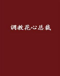 調教花心總裁 調教花心總裁