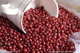 紅豆藥用 紅豆藥用