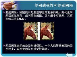 差別閾限法 差別閾限法