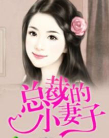 總裁的小妻子