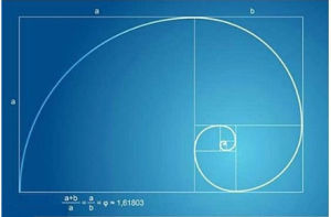 黃金分割法 黃金分割法