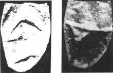 西陰村出土繭殼圖