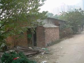 蔡家坪村 蔡家坪村