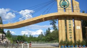 五營公園 五營公園