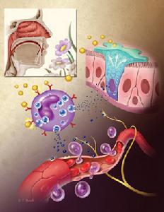 嗅覺機理美學圖