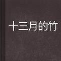 十三月的竹 十三月的竹