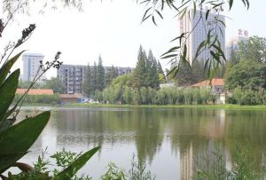 東草埠村 東草埠村