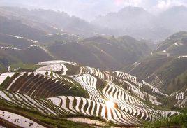 七星堆墓葬群 七星堆墓葬群