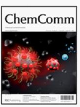 張洪彬[雲南大學化學化學科學與工程學院教授]