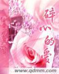 碎心的愛[小說]