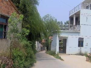 新富村[新昌縣羽林街道下轄行政村]