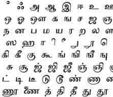 泰米爾語