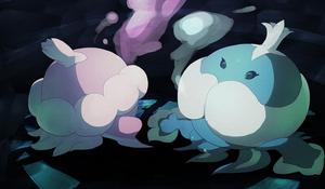 左雌性，右雄性