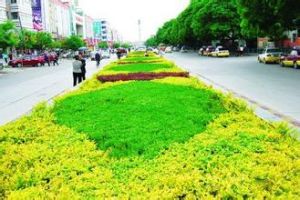 魏家地社區 魏家地社區