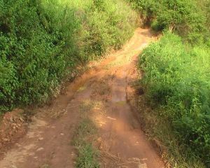 毛家箐村 毛家箐村