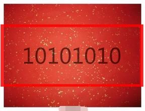 10101010 10101010