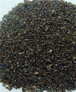 鹽車前子 鹽車前子