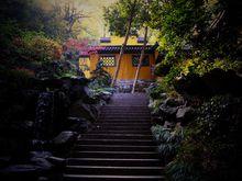 雲水禪心[風潮唱片1993年專輯]