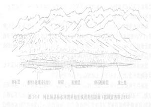 聚煤條件 聚煤條件