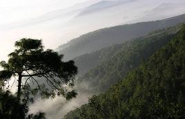 獅子山[湖南省韶山市獅子山]