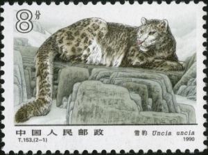 T153 《雪豹》 T153 《雪豹》