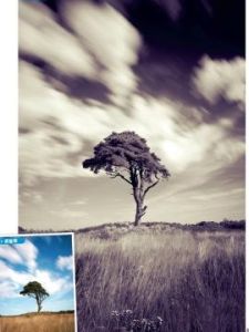 色調分離 色調分離