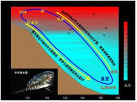 海洋生態動力學 海洋生態動力學