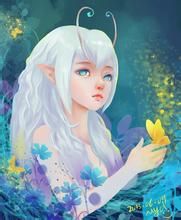 《蝴蝶精靈》 《蝴蝶精靈》