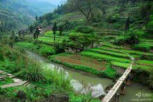 蔡家鎮[重慶市江津區蔡家鎮]