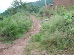 西伙山自然村 西伙山自然村