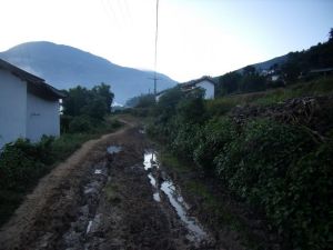 上甸尾自然村 上甸尾自然村