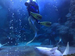 福州左海海底世界