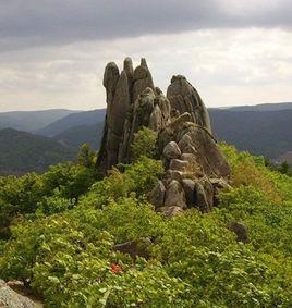 三道嶺林場 三道嶺林場