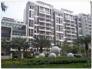 富和名都 富和名都