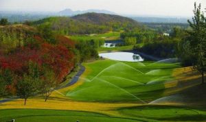 太偉高爾夫 太偉高爾夫