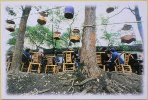 四川茶館 四川茶館