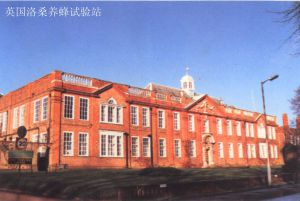 英國洛桑試驗站蜜蜂研究組 英國洛桑試驗站蜜蜂研究組